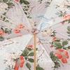 Зонт-трость Pasotti 189 5F529-2 Z16  Pastel Green