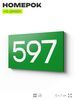 Номер на дверь 597, табличка на дверь для офиса, квартиры, кабинета, аудитории, склада, зеленая 120х70 мм, Айдентика Технолоджи