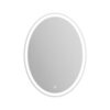 BelBagno SPC-VST-600-800-LED-BTN Зеркало с встроенным светильником и кнопочным выключателем, цвет: белый