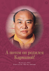 А потом он родился Кармапой