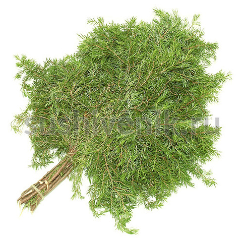 Веник можжевеловый - 3