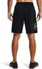 Шорты Under Armour Tech Graphic Black
