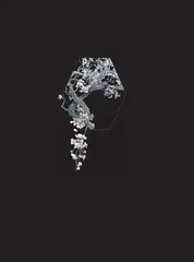Костяная птица и ночные цветы. Иллюстрации Eno.