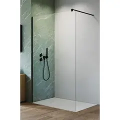 Radaway 10013120-54-01 NES Black Walk-in II 120 фото