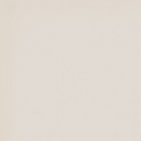 Estima Rainbow RW01 Ivory Непол.Рект. 60x60