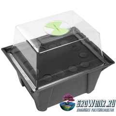 NUTRICULTURE X-STREAM CLONE MASTER