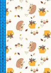 Кулирная гладь, рулон, 100% х/б, 130-145 г/м2, 185 см