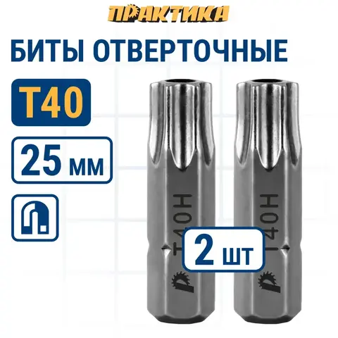 Бита отверточная ПРАКТИКА Профи Torx Tamper-40 х 25мм (2шт) (776-416)