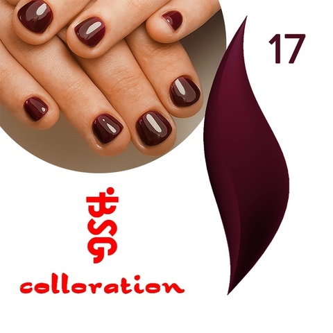 BSG Colloration, №17 Бордовый купить за 650&nbsp;руб