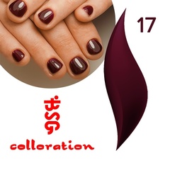 BSG Colloration, №17 Бордовый BSG Colloration, №17 Бордовый