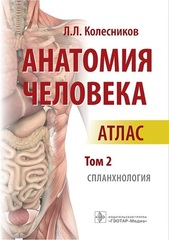 Анатомия человека. Атлас в 3 томах. Том 2. Спланхнология