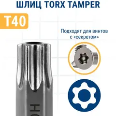 Бита отверточная ПРАКТИКА Профи Torx Tamper-40 х 25мм (2шт) (776-416)