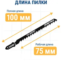 Пилки для лобзика по дереву, ДСП ПРАКТИКА тип T244D 100 х 75 мм, грубый рез, HCS (2шт.) (034-564)