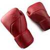 Перчатки Hayabusa E1 Leather Red