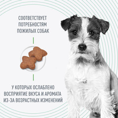 Royal Canin Mini Adult 8+ сухой корм для собак мелких пород старше 8 лет 4кг