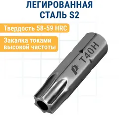 Бита отверточная ПРАКТИКА Профи Torx Tamper-40 х 25мм (2шт) (776-416)