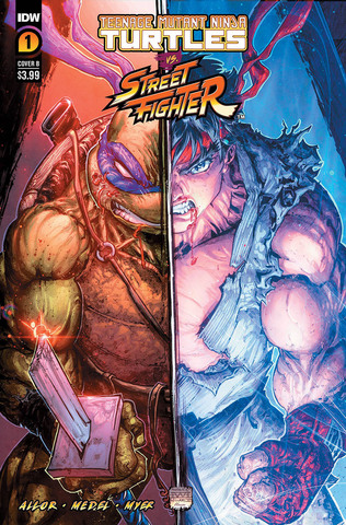 Teenage Mutant Ninja Turtles vs Street Fighter #1 (Cover B)