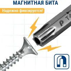 Бита отверточная ПРАКТИКА Профи Torx Tamper-40 х 25мм (2шт) (776-416)