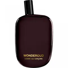 Comme Des Garcons Wonderoud