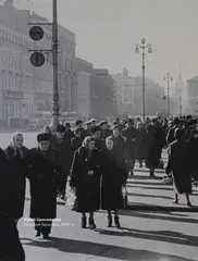 Петербург в фотографии. Из коллекции музея 