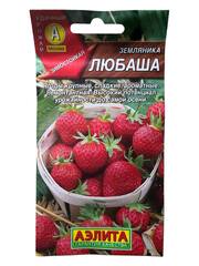Земляника Любаша (Аэлита)