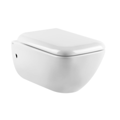Gessi 39113#518 Унитаз подвесной 540х358 мм., в комплекте с крышкой-сиденьем с механизмом Soft Close, фурнитура хром, цвет белый глянцевый фото