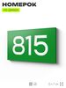 Номер на дверь 815, табличка на дверь для офиса, квартиры, кабинета, аудитории, склада, зеленая 120х70 мм, Айдентика Технолоджи