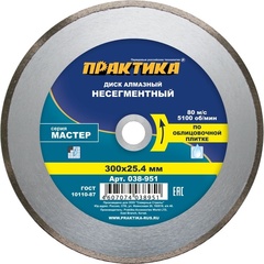 Диск алмазный несегментный ПРАКТИКА Мастер 300 х 25,4 мм (038-951)