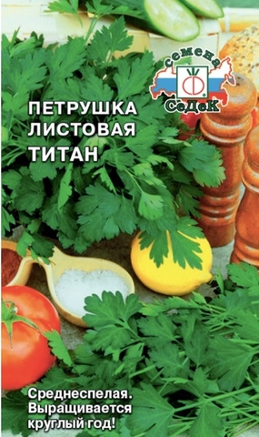 Семена Петрушка Титан