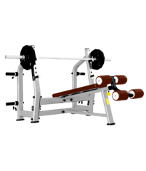 BRONZE GYM J-024 Скамья для жима с отрицательным наклоном (КОРИЧНЕВЫЙ)