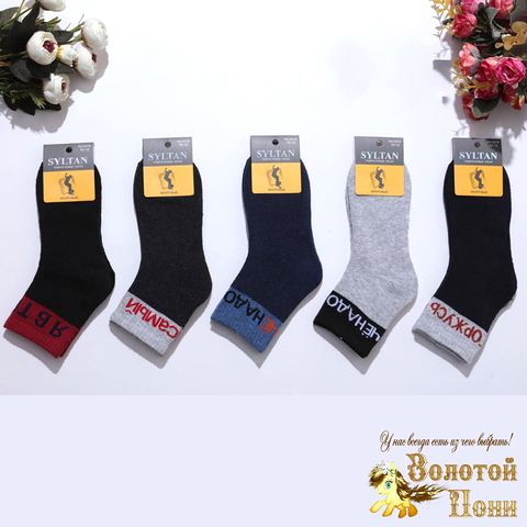 Носки махровые мальчику (6-12) 211003-R4016