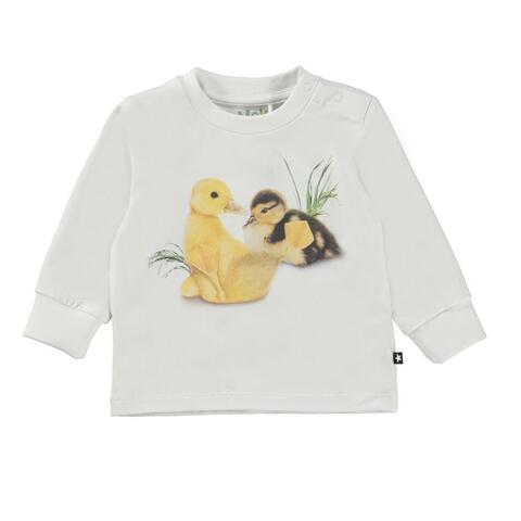 Футболка Molo Eloy Ducklings Life