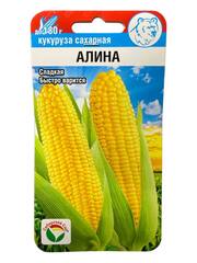 Кукуруза Алина (Сибирский Сад)