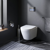 Am.Pm C741701SC Sense подвесной унитаз FlashClean с сиденьем микролифт