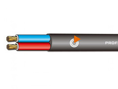 Bespeco B/FLEX250