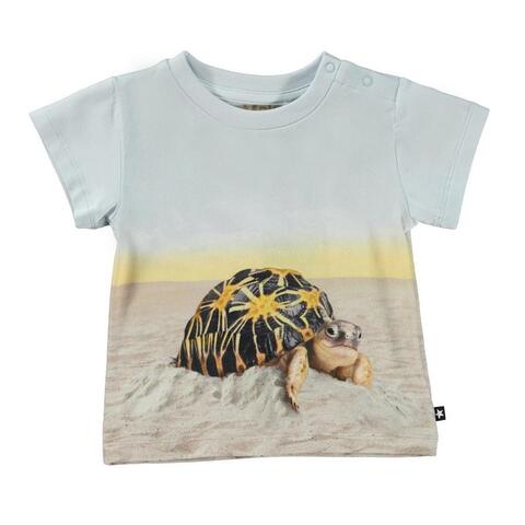 Футболка Molo Emilio Sunny Turtles