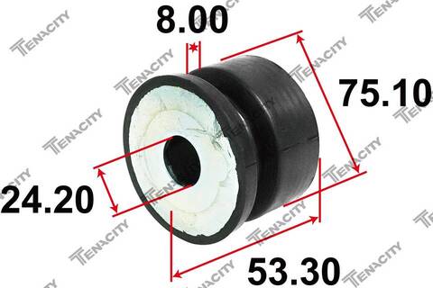 Опора кузова Tenacity (4189) AAMTO1384