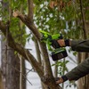 Цепная мини пила аккумуляторная Greenworks GD24CS15, 24V, 15см, бесщеточная, с автоматической смазкой цепи, без АКБ и ЗУ (2010107) — фото 6