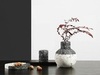 Ваза Black and white vase — фото 4