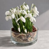 Подснежники из холодного фарфора ручной работы — фото 1