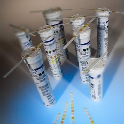 Лахема Фан НефроФАН лейко (нитриты (бактериурия), рН, белок, лейкоциты, кровь) 50 шт/уп /Erba Lachema s.r.o. , Чешская Республика/