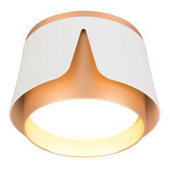 Накладной светильник Arte Lamp AMAKS A8028PL-1WH