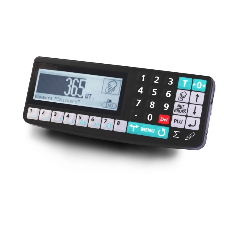 Весы стержневые МАССА-К 4D-B-12/1-1000-RA