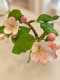 Ветка яблони из холодного фарфора ручной работы — фото 2
