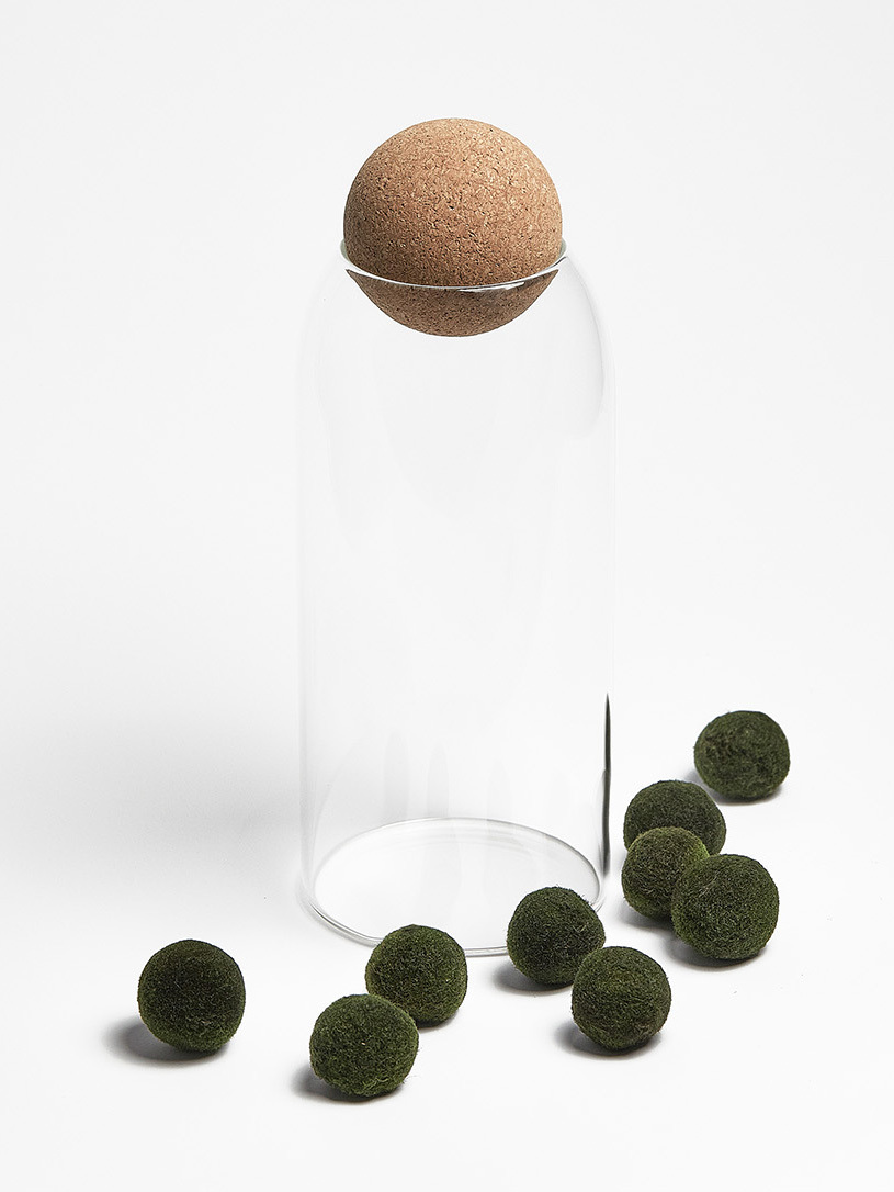 Moss ball pet в бутылке / мини аквариум HEIS. Флорариумы и экосистемы