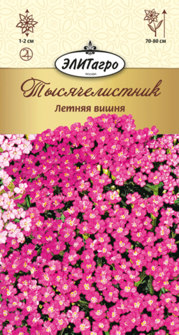 Семена Тысячелистник Летняя вишня, мнг