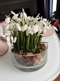 Подснежники из холодного фарфора ручной работы — фото 3