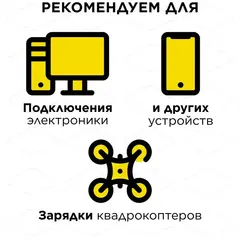 Генератор бензиновый инверторного типа DDE DPG1201i (1ф ном/макс. 1,0/1,1 кВт, 2-х тактн дв, ручн)