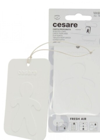 Mr&Mrs Fragrance Аромакарточка для автомобиля CESARE CARD белый FRESH AIR Свежий воздух
