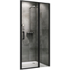 Abber Sonnenstrand AG04110BS Душевая дверь, цвет: чёрный